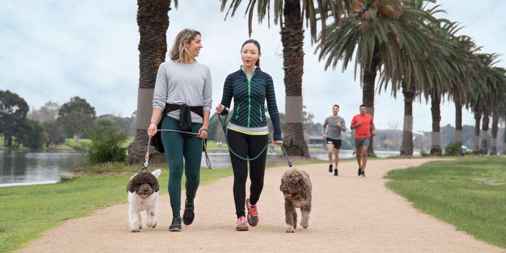 Dog-Friendly-Culture-Dubai-Is-Truly-Welcoming