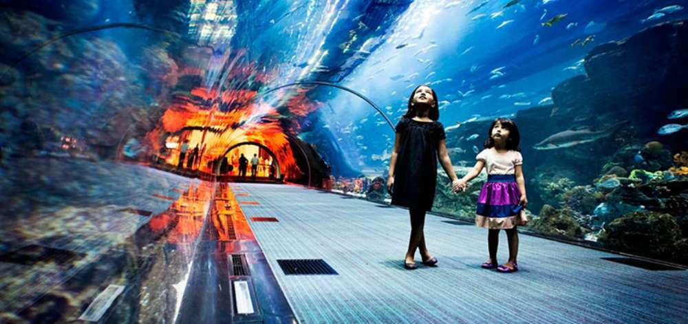 Explore-Dubai-Mall-Aquarium